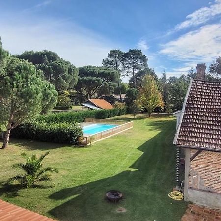 Charmante Maison Dans Les Landes X 10 Avec Piscine Et Salle D Escalade Lue Bagian luar foto