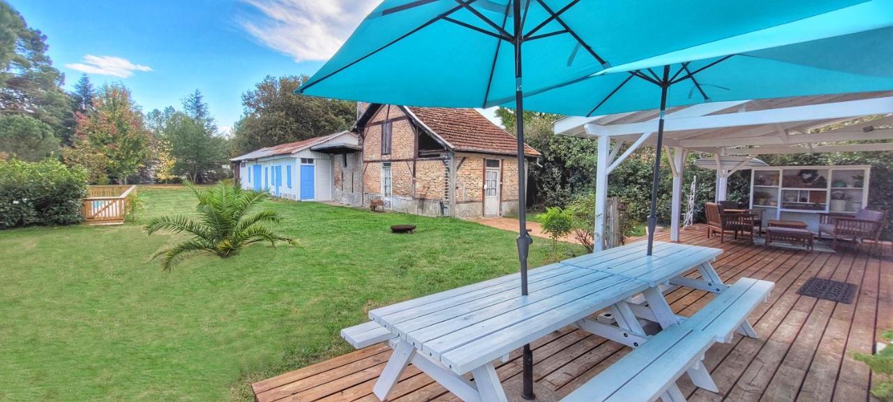Charmante Maison Dans Les Landes X 10 Avec Piscine Et Salle D Escalade Lue Bagian luar foto