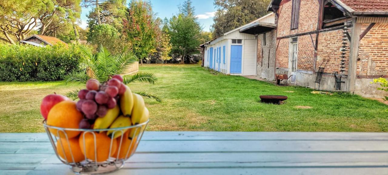 Charmante Maison Dans Les Landes X 10 Avec Piscine Et Salle D Escalade Lue Bagian luar foto