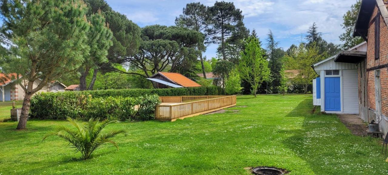 Charmante Maison Dans Les Landes X 10 Avec Piscine Et Salle D Escalade Lue Bagian luar foto