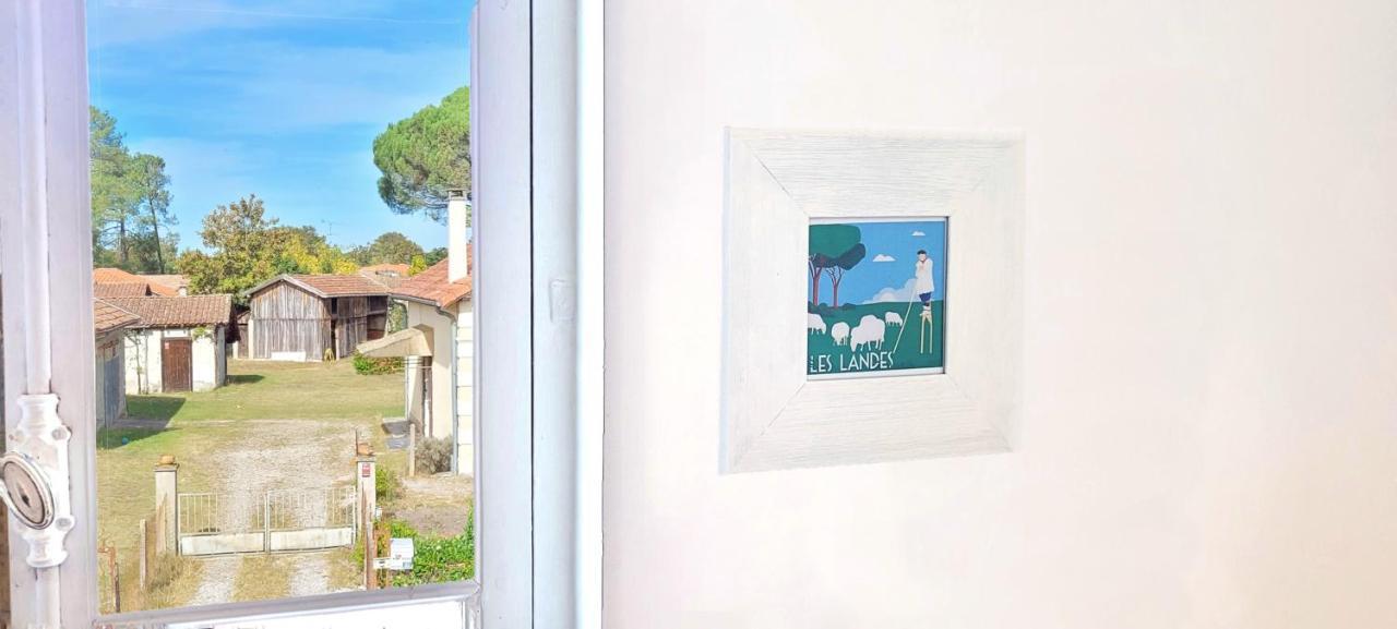Charmante Maison Dans Les Landes X 10 Avec Piscine Et Salle D Escalade Lue Bagian luar foto